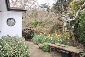 Photo 20- click for photo gallery